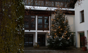 Christbaumspende_RH_2022