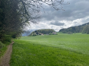 Biberrundweg Bild