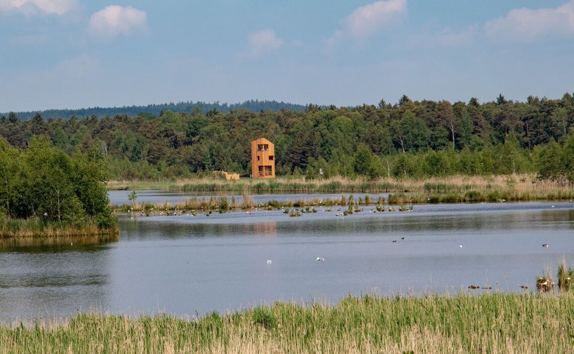 Beobachtungsturm im Ainringer Moos