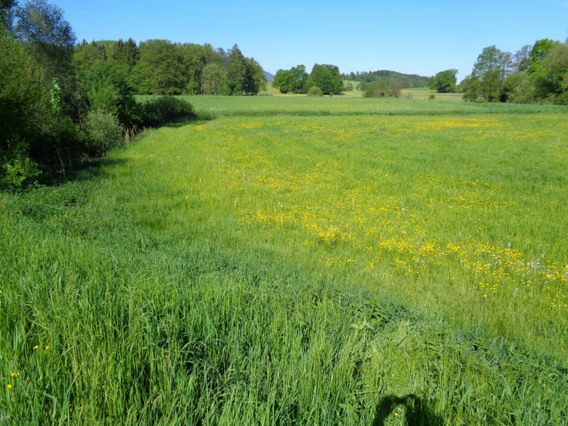 wanderung Ainring - Sillersdorf