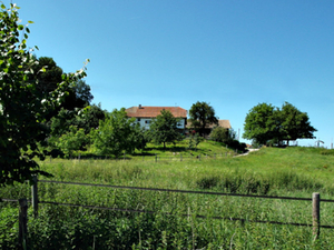 Wanderung Ainring - Adelstetten - Perach