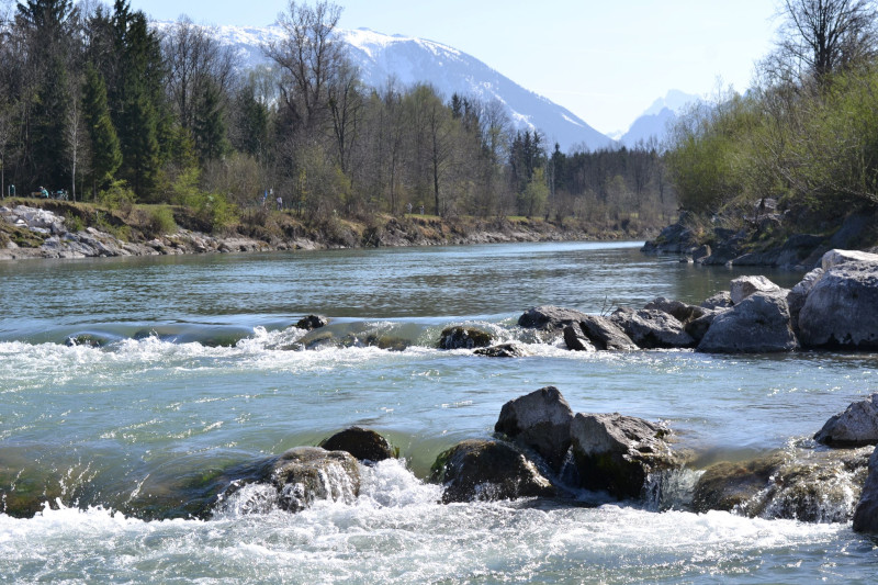 Wanderung Saalachufer