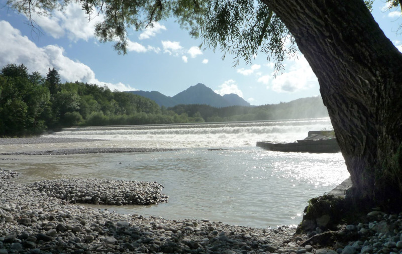 Wanderung Saalach-Uferweg